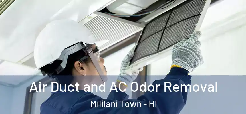 Air Duct and AC Odor Removal Mililani Town - HI
