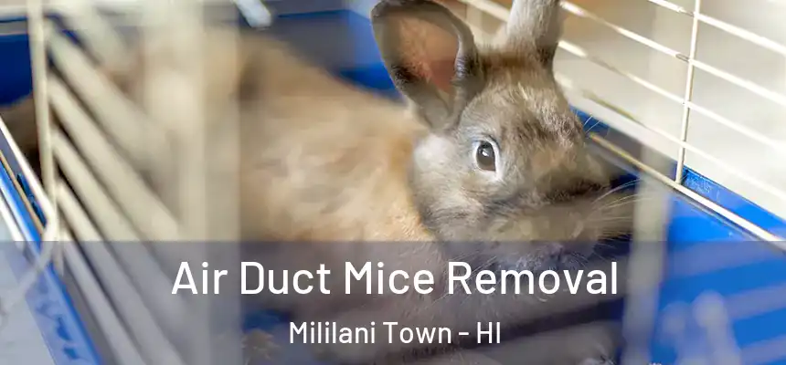 Air Duct Mice Removal Mililani Town - HI