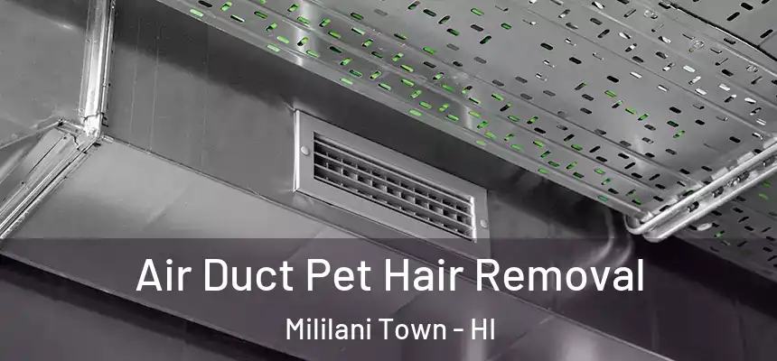 Air Duct Pet Hair Removal Mililani Town - HI