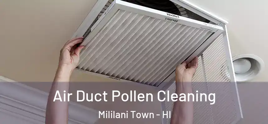 Air Duct Pollen Cleaning Mililani Town - HI