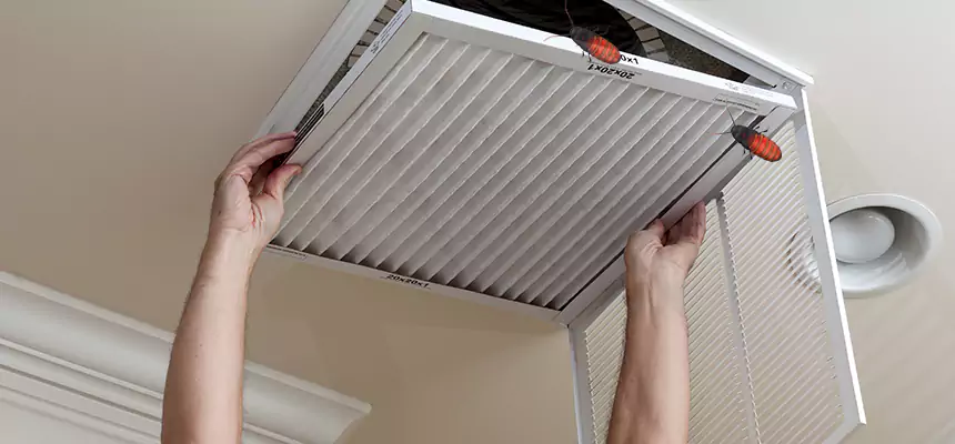 Preventive Cockroach-Proofing for Ducts in Mililani Town