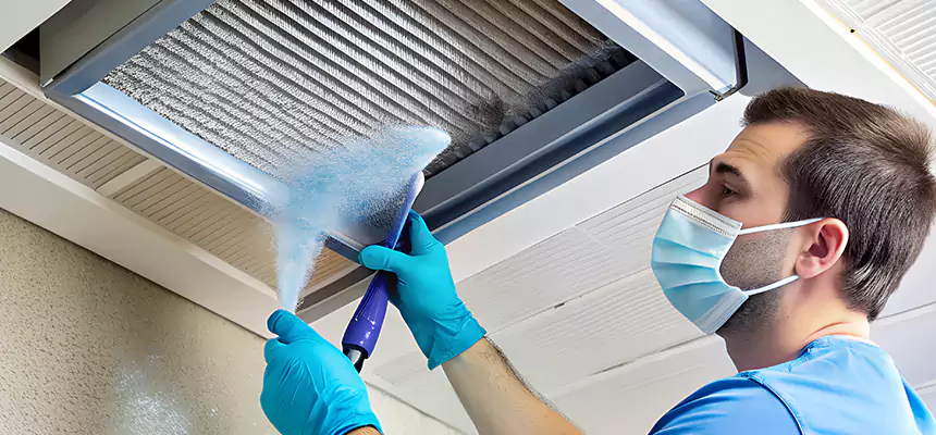 Proactive Dryer Vent & Auxiliary Duct Pollen Cleanup in Mililani Town, HI