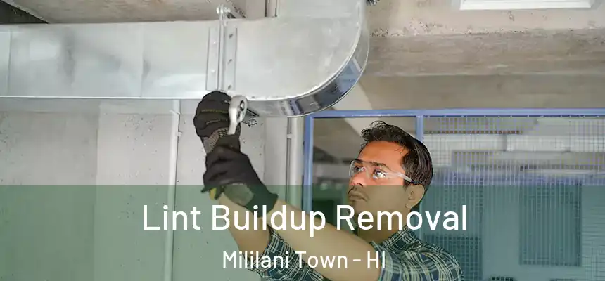  Lint Buildup Removal Mililani Town - HI