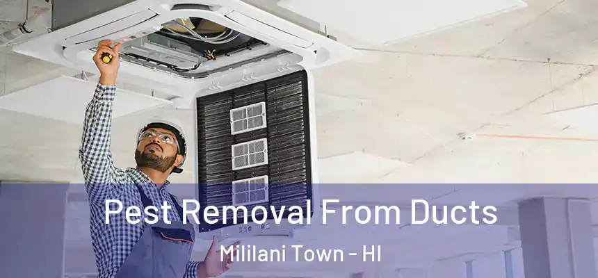  Pest Removal From Ducts Mililani Town - HI