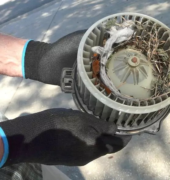 About Air Duct Rat Removal in Mililani Town, HI