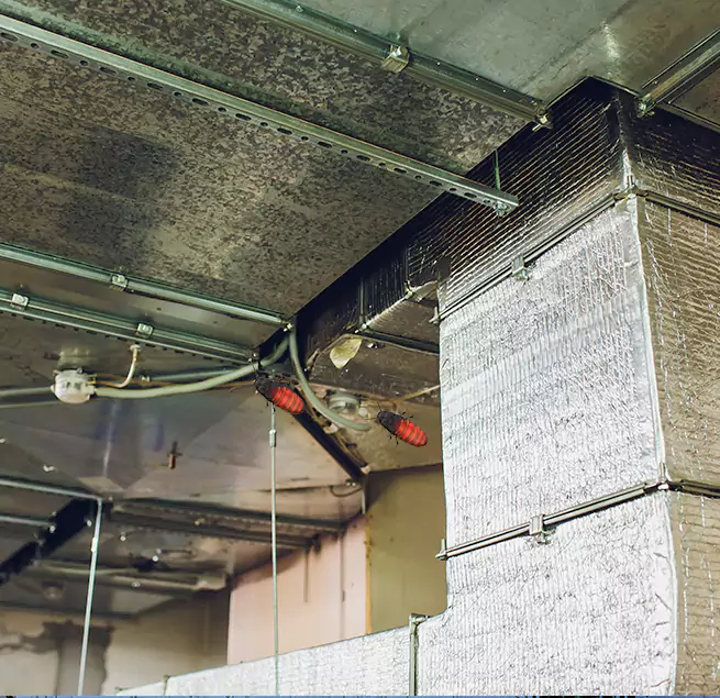 Why Homeowners & Businesses Trust Us in Mililani Town, HI?