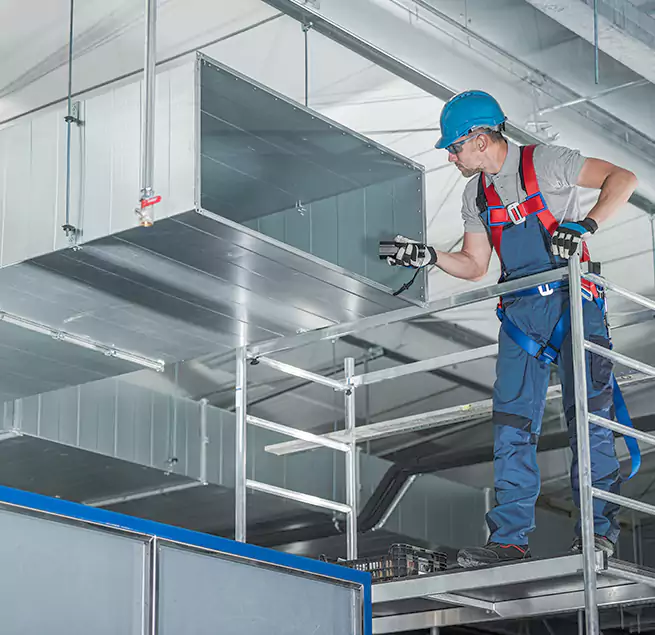 Why Homeowners & Businesses Trust Us in Mililani Town, HI?