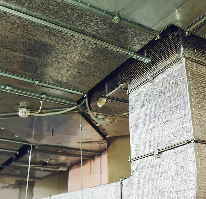 Why Homeowners & Businesses Trust Us in Mililani Town, HI?