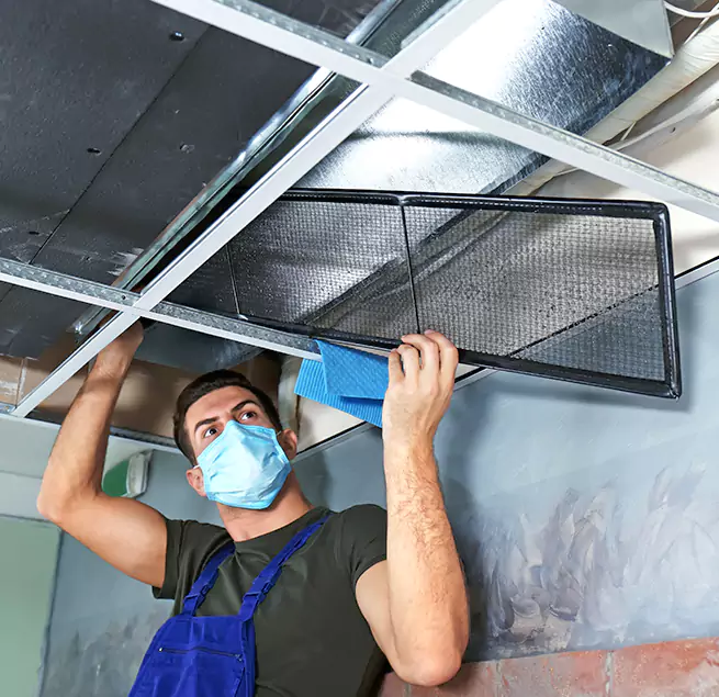 Why Homeowners & Businesses Trust Us in Mililani Town, HI?